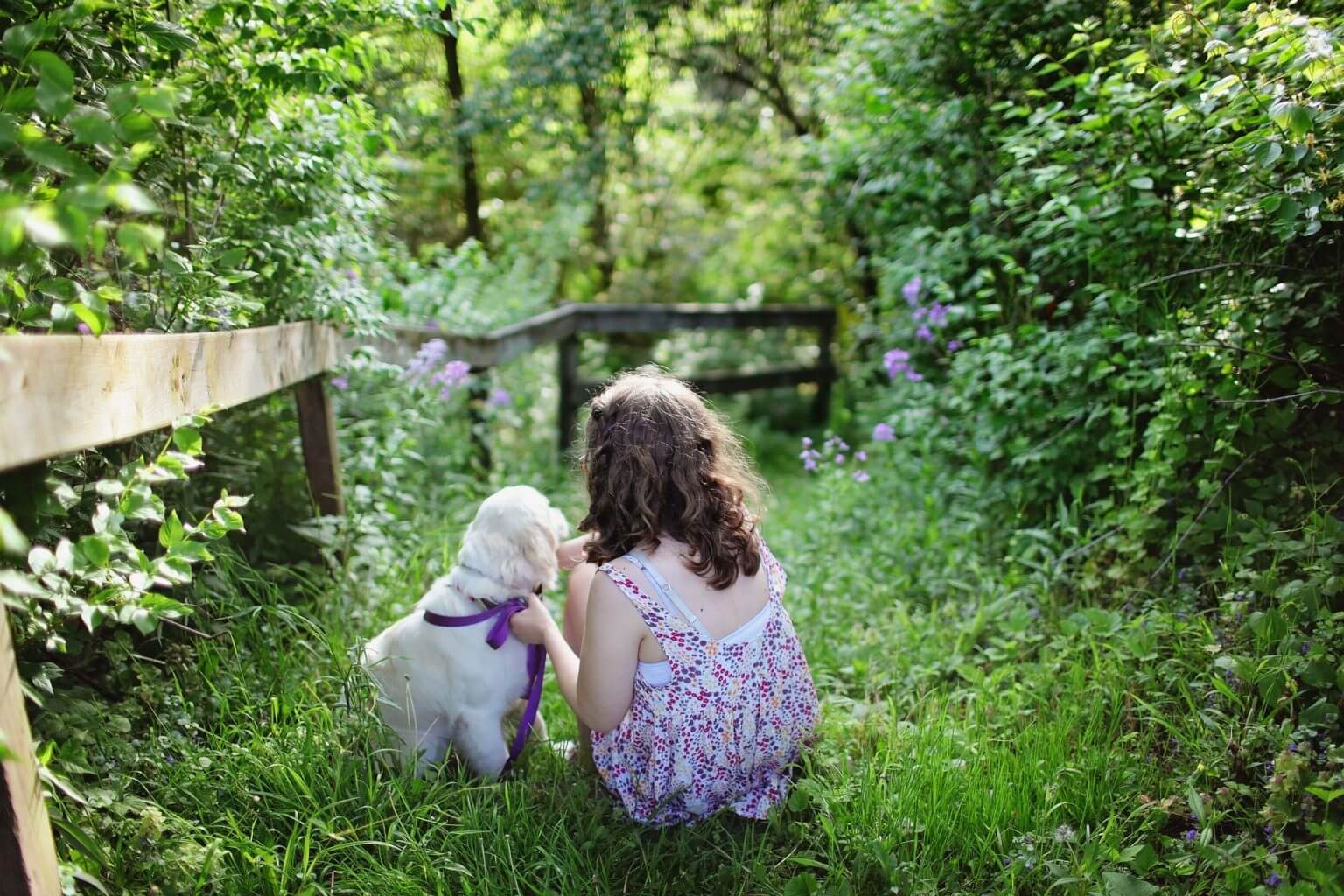 Beste OutdoorAktivitäten für Hunde Tiere Berlin für Kinder